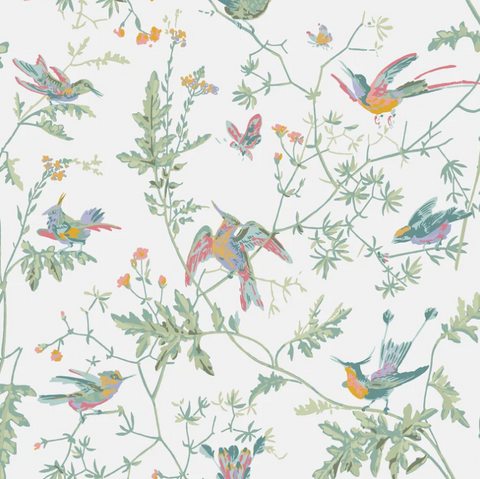 Cole & Son Selection of Hummingbirds Wallpaper