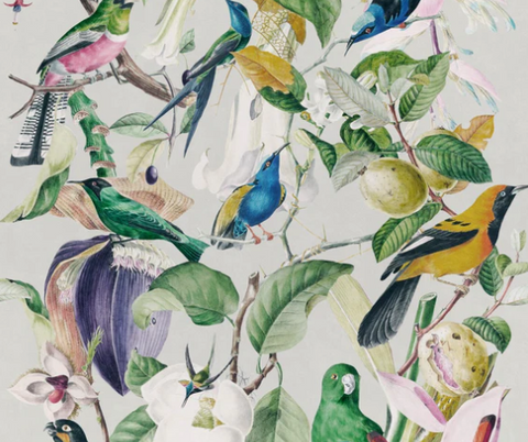 Tropical Wallpaper and Fabric