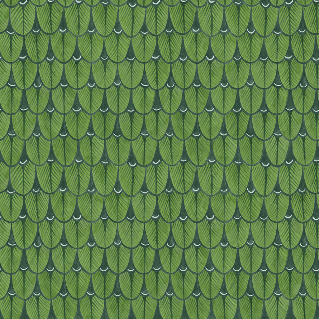 Samples and Purchasing available for Narina - Leaf Green Green By Cole & Son | Cole & Son Ardmore |  Wallcovering Print at Designer Wallcoverings and Fabrics