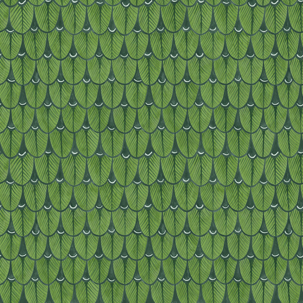 Samples and Purchasing available for Narina - Leaf Green Green By Cole & Son | Cole & Son Ardmore |  Wallcovering Print at Designer Wallcoverings and Fabrics