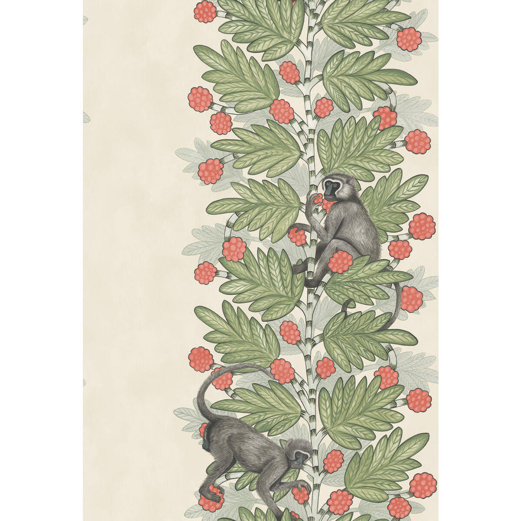 Samples and Purchasing available for Acacia - Green & Coral Berries Multi By Cole & Son | Cole & Son Ardmore |  Wallcovering Print at Designer Wallcoverings and Fabrics