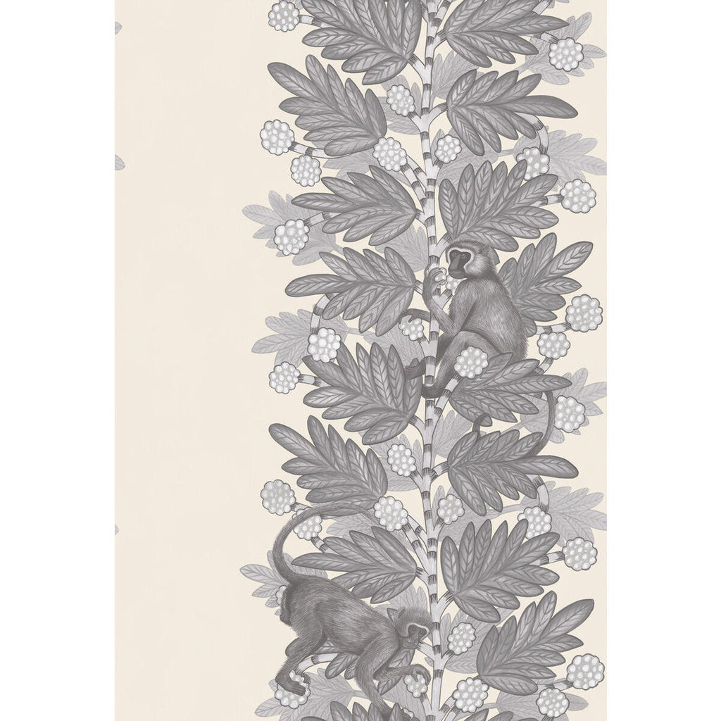 Samples and Purchasing available for Acacia - Grey & White Grey By Cole & Son | Cole & Son Ardmore |  Wallcovering Print at Designer Wallcoverings and Fabrics