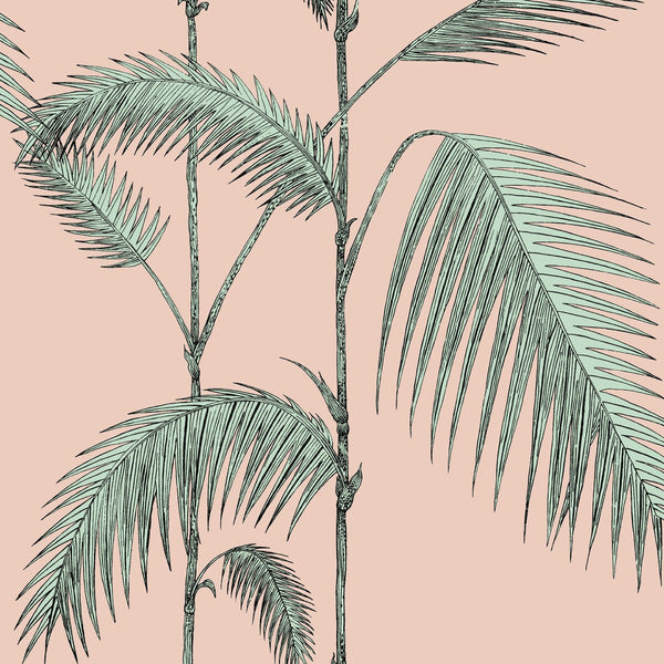 Samples and Purchasing available for Palm Leaves - Plaster Pink/Mint Multi By Cole & Son | Cole & Son Icons |Botanical & Floral Tropical Wallcovering Print at Designer Wallcoverings and Fabrics