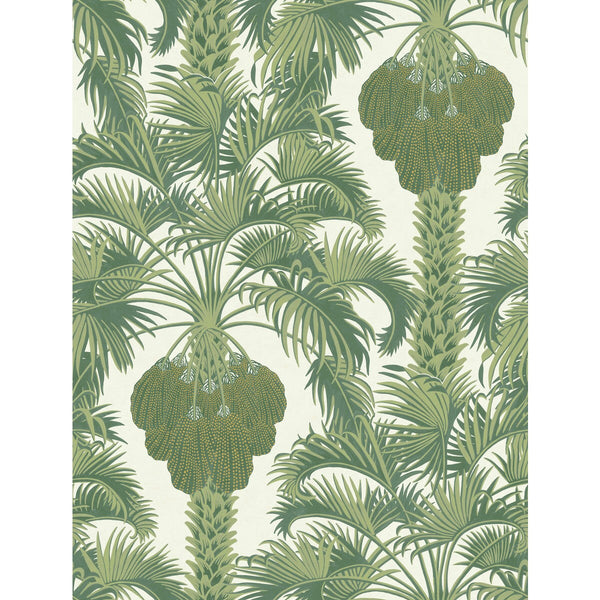 Samples and Purchasing available for Hollywood Palm - Leaf Green Green By Cole & Son | Cole & Son Martyn Lawrence Bullard | Botanical & Floral Wallcovering  at Designer Wallcoverings and Fabrics