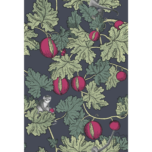 Samples and Purchasing available for Frutto Proibito - Ink & Magenta Multi By Cole & Son | Cole & Son Fornasetti |  Wallcovering Print at Designer Wallcoverings and Fabrics