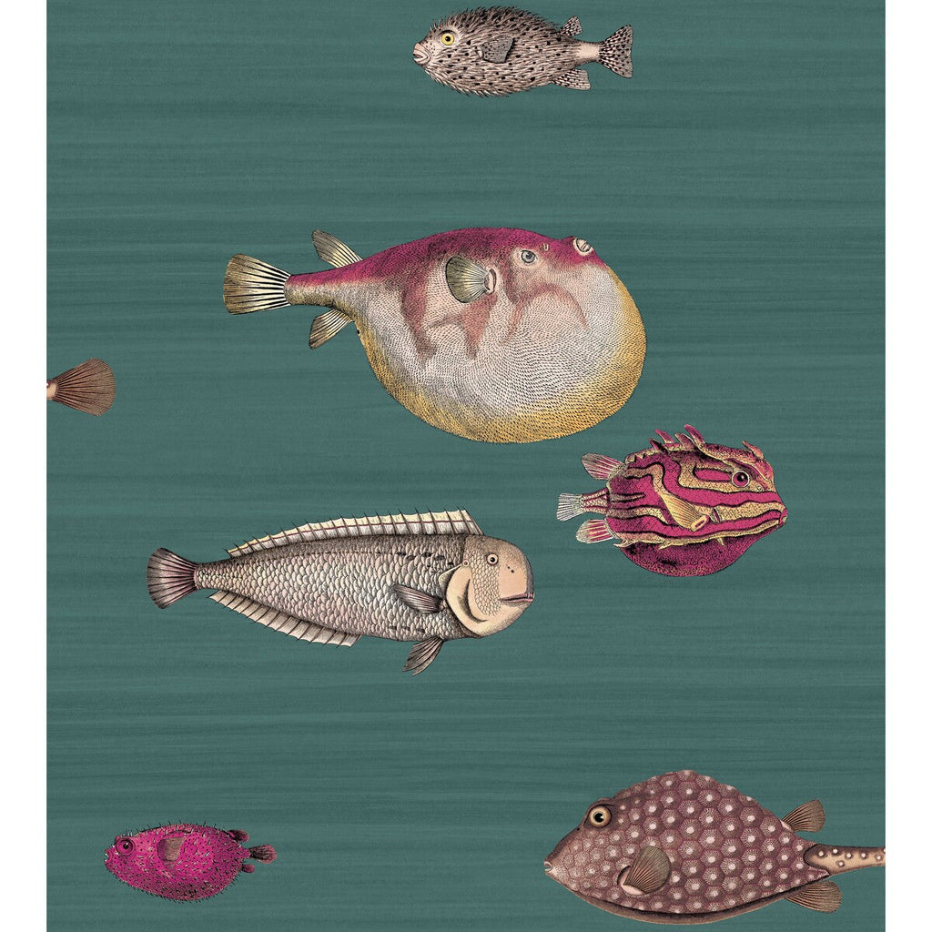 Samples and Purchasing available for Acquario - Viridian Multi By Cole & Son | Cole & Son Fornasetti |  Wallcovering Print at Designer Wallcoverings and Fabrics