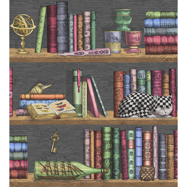 Samples and Purchasing available for Libreria - Rich Multi Multi By Cole & Son | Cole & Son Fornasetti Senza Tempo |  Wallcovering Print at Designer Wallcoverings and Fabrics