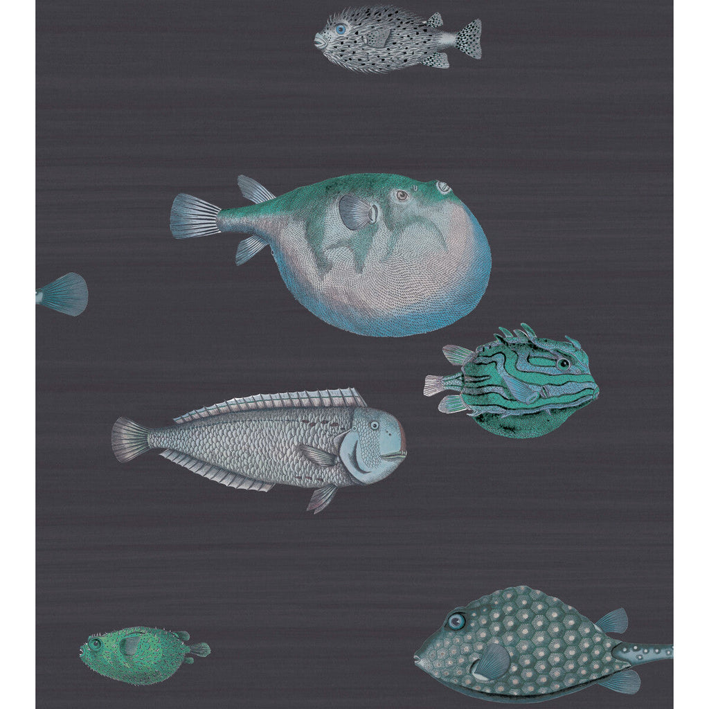 Samples and Purchasing available for Acquario - Ink Multi By Cole & Son | Cole & Son Fornasetti Senza Tempo |  Wallcovering Print at Designer Wallcoverings and Fabrics