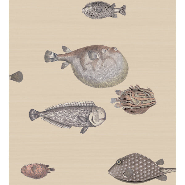 Samples and Purchasing available for Acquario - Taupe Taupe By Cole & Son | Cole & Son Fornasetti Senza Tempo |  Wallcovering Print at Designer Wallcoverings and Fabrics