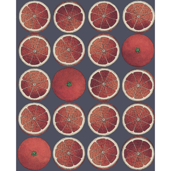 Samples and Purchasing available for Arance - Blood Orange/Ink Multi By Cole & Son | Cole & Son Fornasetti Senza Tempo |  Wallcovering Print at Designer Wallcoverings and Fabrics