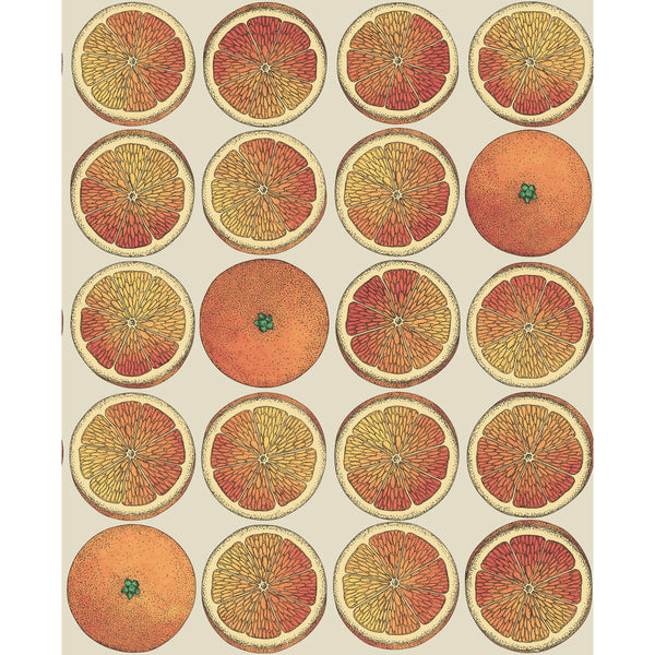 Samples and Purchasing available for Arance - Orange/Cream Orange By Cole & Son | Cole & Son Fornasetti Senza Tempo |  Wallcovering Print at Designer Wallcoverings and Fabrics