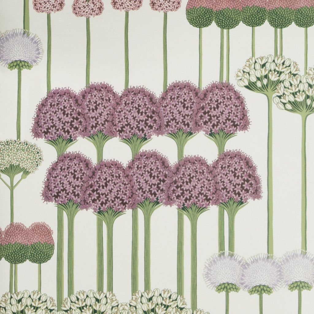 Samples and Purchasing available for Allium - Mulb/Blush/Lilac/Wh Multi By Cole & Son | Cole & Son Botanical Botanica |  Wallcovering Print at Designer Wallcoverings and Fabrics