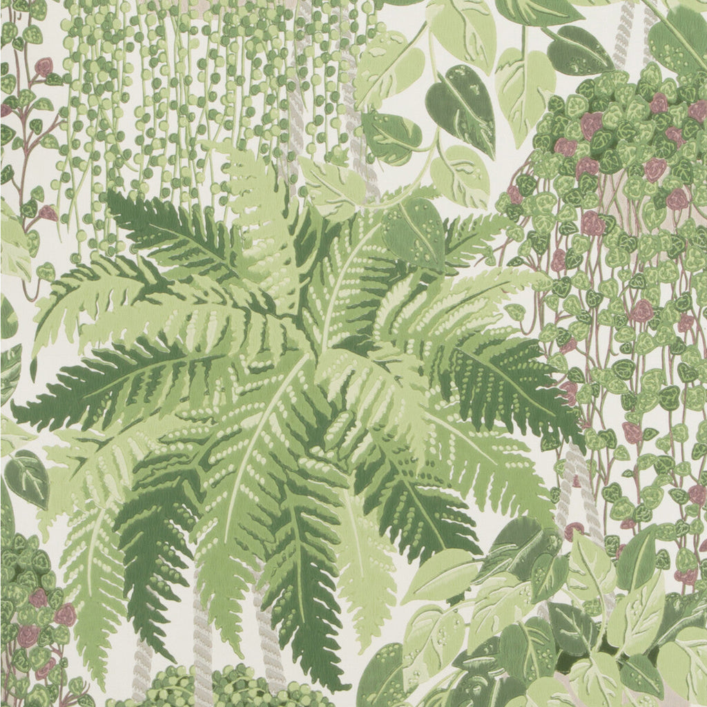 Samples and Purchasing available for Fern - Leaf Green And Olive Olive Green By Cole & Son | Cole & Son Botanical Botanica |  Wallcovering Print at Designer Wallcoverings and Fabrics