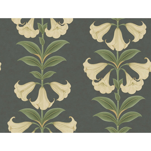 Samples and Purchasing available for Angels Trumpet - Cream/Olive Green/Charcoal Black By Cole & Son | Cole & Son Seville |Botanical & Floral  Wallcovering Print at Designer Wallcoverings and Fabrics