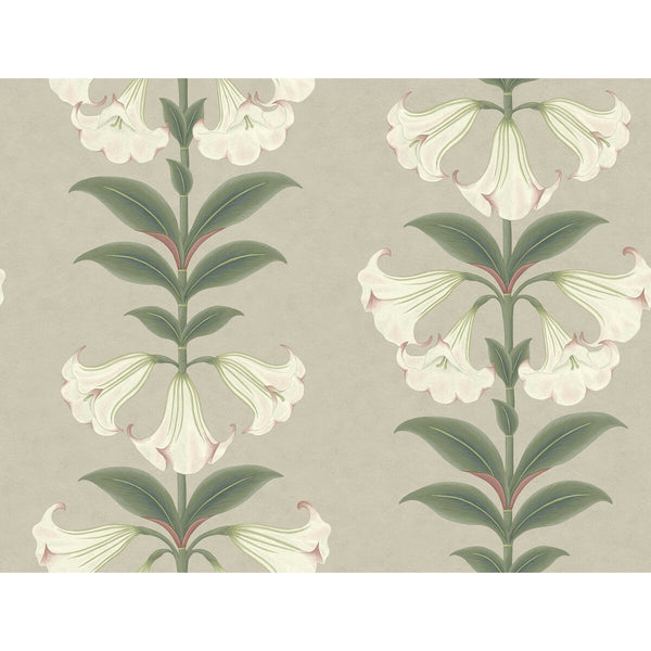 Samples and Purchasing available for Angels Trumpet - Chalk & Sage On Stone Sage By Cole & Son | Cole & Son Seville |Botanical & Floral  Wallcovering Print at Designer Wallcoverings and Fabrics