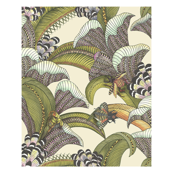 Samples and Purchasing available for Hoopoe Leaves - Olive/Chart/Fuchsia On Cream Multi By Cole & Son | Cole & Son Ardmore-Jabula |Animal/Insects Botanical & Floral Wallcovering Print at Designer Wallcoverings and Fabrics