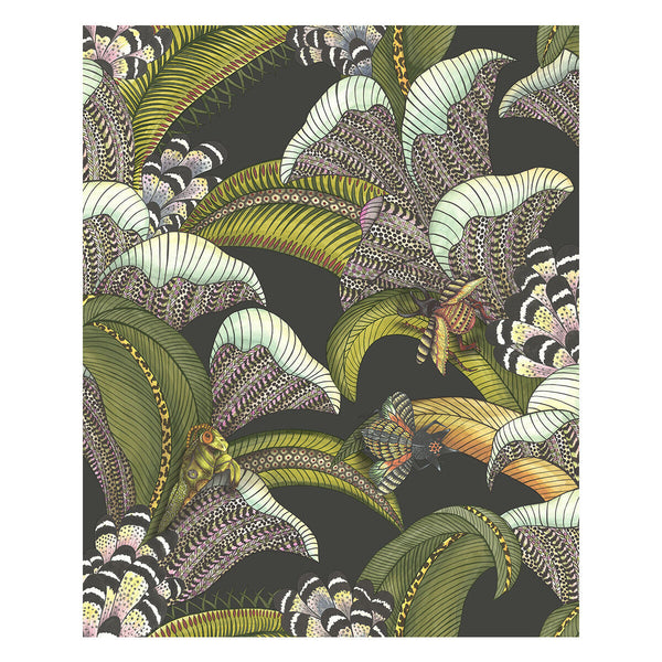 Samples and Purchasing available for Hoopoe Leaves - Olive Black Multi By Cole & Son | Cole & Son Ardmore-Jabula |Animal/Insects Botanical & Floral Wallcovering Print at Designer Wallcoverings and Fabrics