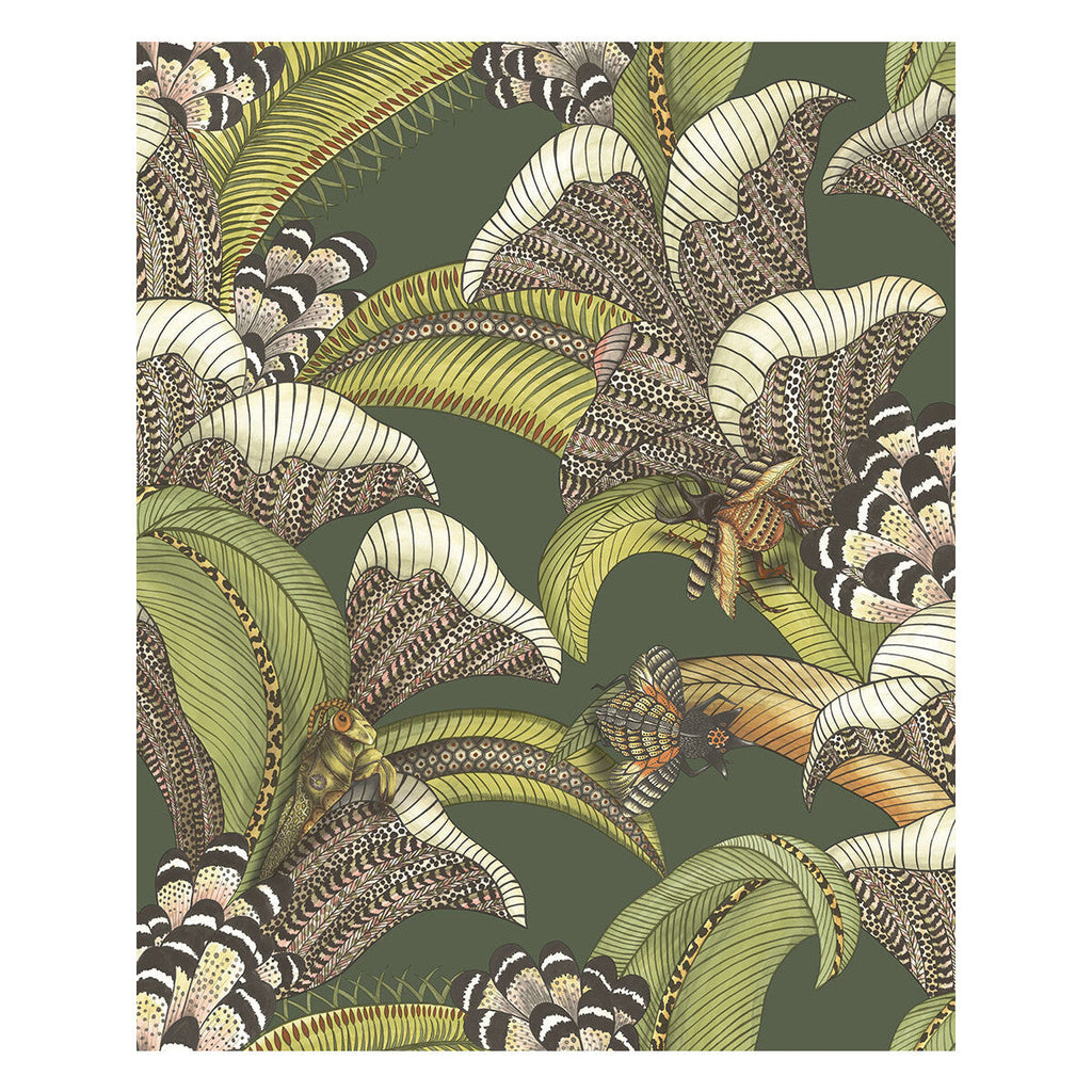 Samples and Purchasing available for Hoopoe Leaves - Spring Green And Coral Green By Cole & Son | Cole & Son Ardmore-Jabula |Animal/Insects Botanical & Floral Wallcovering Print at Designer Wallcoverings and Fabrics