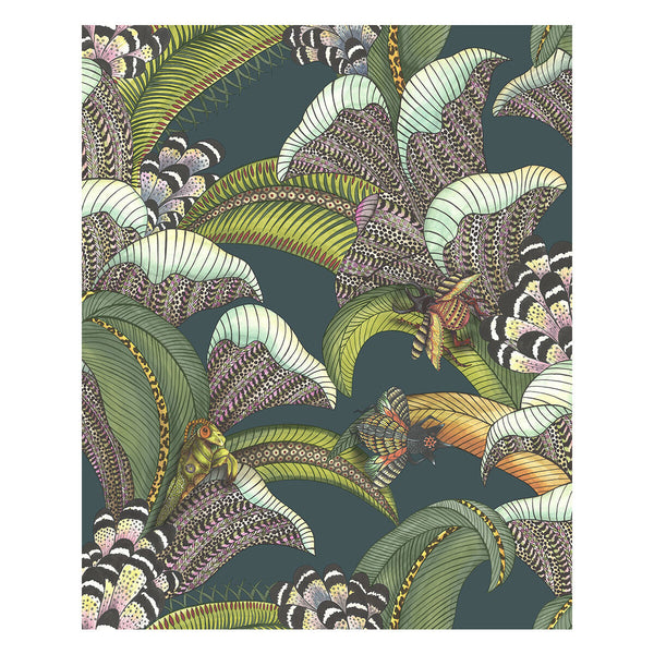 Samples and Purchasing available for Hoopoe Leaves - Viridian Multi By Cole & Son | Cole & Son Ardmore-Jabula |Animal/Insects Botanical & Floral Wallcovering Print at Designer Wallcoverings and Fabrics