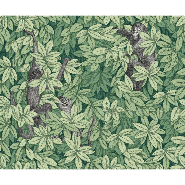 Samples and Purchasing available for Foglie E Scimmie - Green Green By Cole & Son | Cole & Son Fornasetti Senza Tempo Ii |Animal/Insects Botanical & Floral Wallcovering Print at Designer Wallcoverings and Fabrics