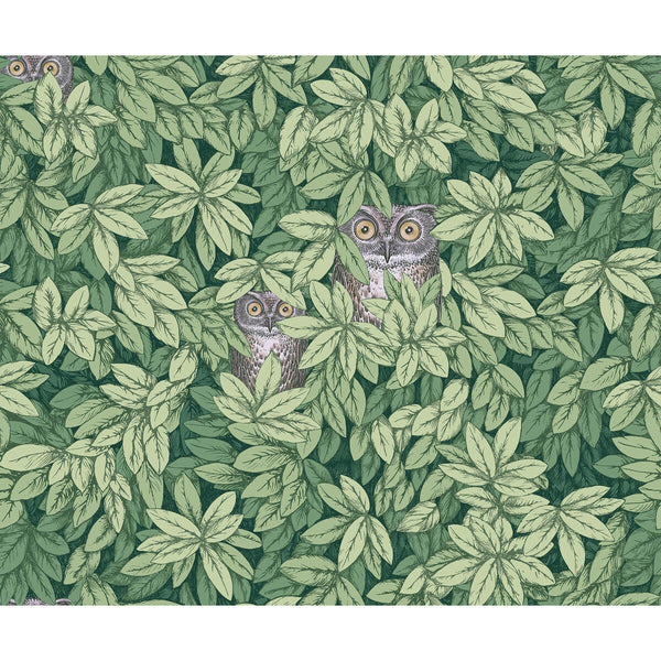 Samples and Purchasing available for Foglie E Civette - Green Green By Cole & Son | Cole & Son Fornasetti Senza Tempo Ii |Animal/Insects Botanical & Floral Wallcovering Print at Designer Wallcoverings and Fabrics