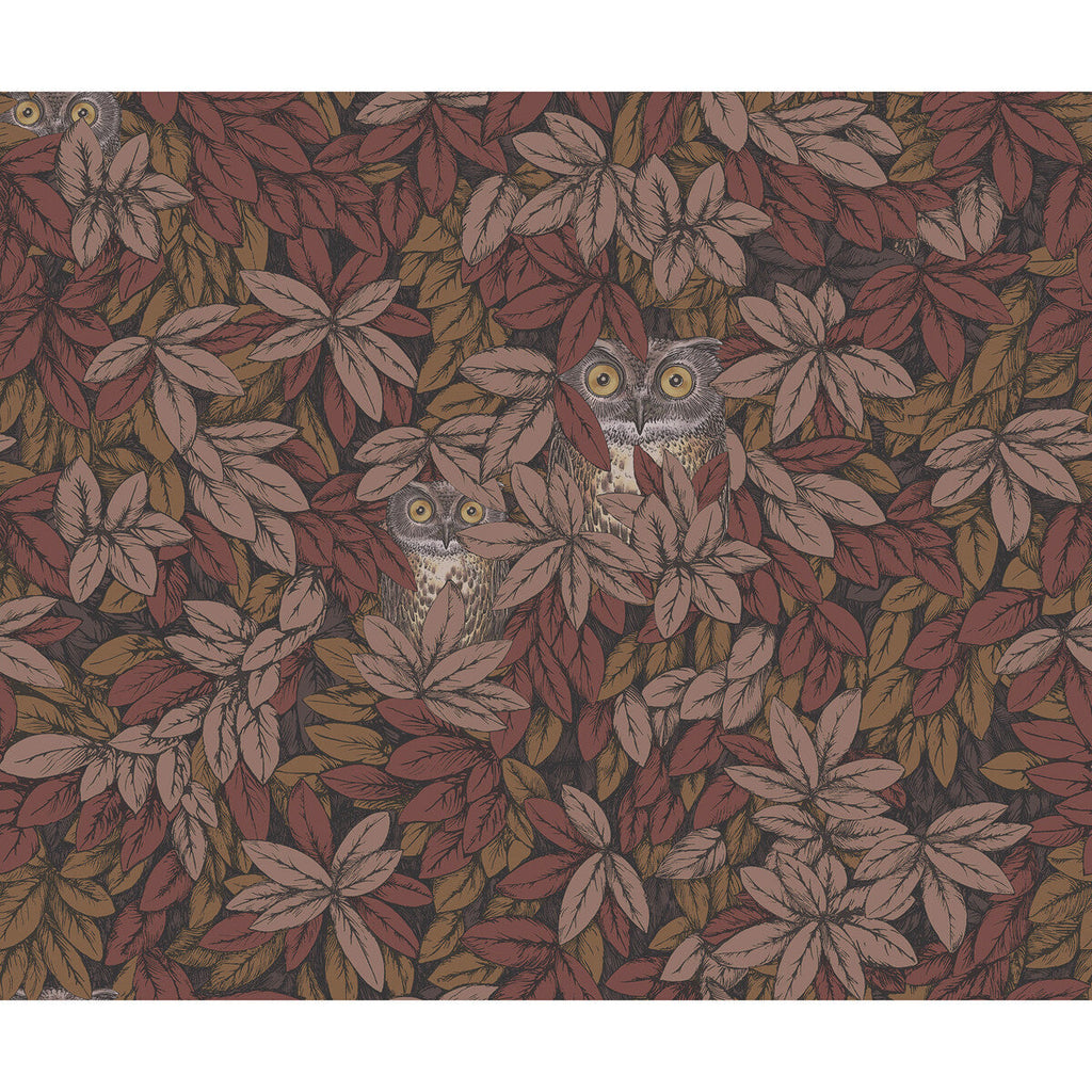 Samples and Purchasing available for Foglie E Civette - Autumnal Brown By Cole & Son | Cole & Son Fornasetti Senza Tempo Ii |Animal/Insects Botanical & Floral Wallcovering Print at Designer Wallcoverings and Fabrics