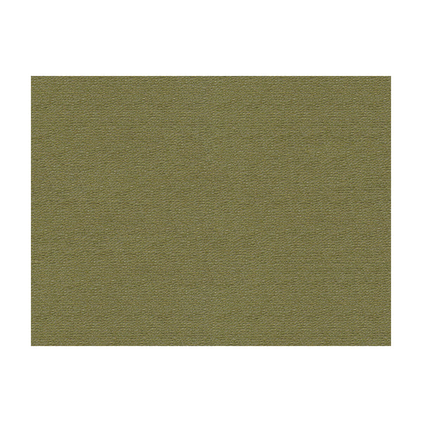 Samples and Purchasing available for Bank - Herb Green By Lee Jofa | James Huniford Express | Texture Upholstery  at Designer Wallcoverings and Fabrics