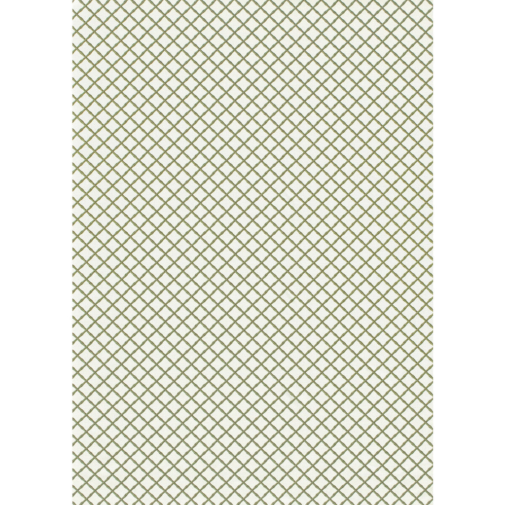 Samples and Purchasing available for Bamboo Trellis - Sage Sage By Lee Jofa | Paolo Moschino Garden Ii | Lattice/Scrollwork Multipurpose Print at Designer Wallcoverings and Fabrics