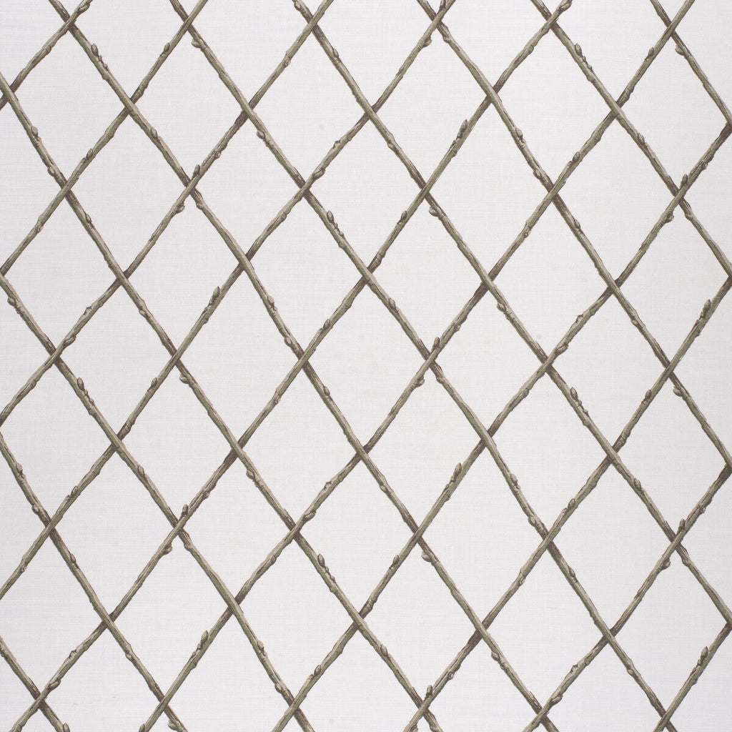 Samples and Purchasing available for Bare Twig Trellis - Green Green By Lee Jofa | Paolo Moschino Fabrics | Lattice/Scrollwork Multipurpose Print at Designer Wallcoverings and Fabrics