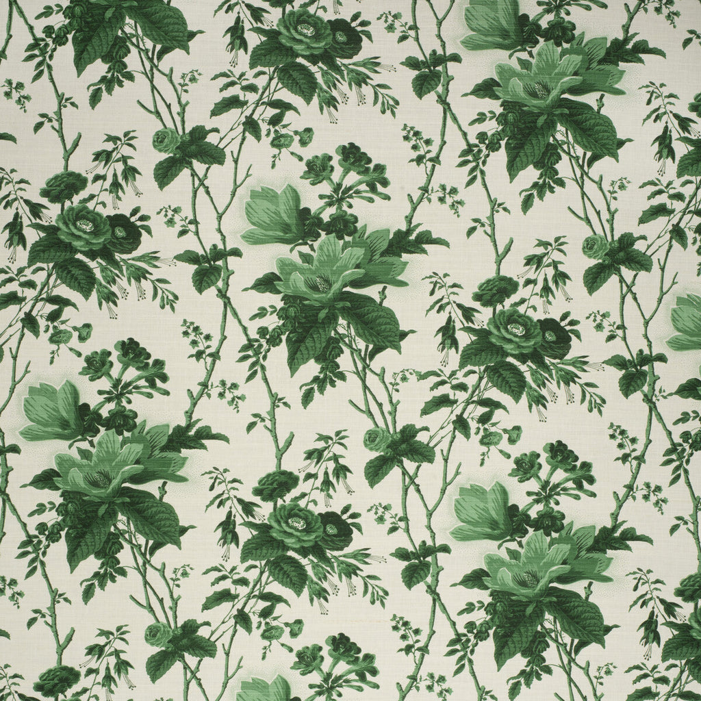 Samples and Purchasing available for De La Tour - Paolos Green Green By Lee Jofa | Paolo Moschino Fabrics |Botanical & Floral  Multipurpose Print at Designer Wallcoverings and Fabrics