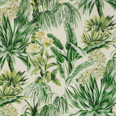 Samples and Purchasing available for Caluya Print - Palm Green By Lee Jofa | Mindoro |Botanical & Floral  Multipurpose Print at Designer Wallcoverings and Fabrics