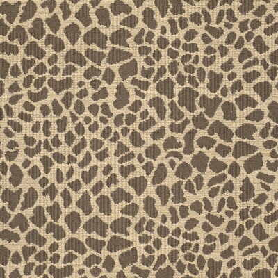 Samples and Purchasing available for Daktari - Leopard Beige By Kravet Basics |  | Animal Skins Multipurpose  at Designer Wallcoverings and Fabrics