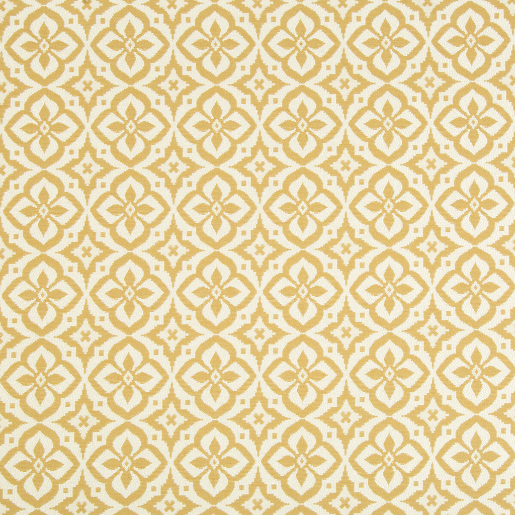 Samples and Purchasing available for Kravet Design - 34703-16 White By Kravet Design | Crypton Home |Medallion / Suzani / Persian Small Scale Upholstery  at Designer Wallcoverings and Fabrics