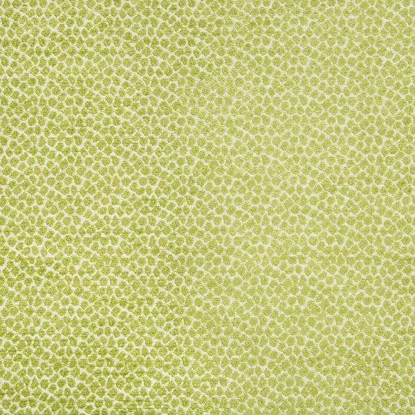 Samples and Purchasing available for Kravet Contract - 34745-3 Green By Kravet Contract | Crypton Incase | Animal Skins Upholstery Chenille at Designer Wallcoverings and Fabrics