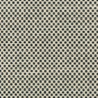 Samples and Purchasing available for Kravet Design - 36090-21 White By Kravet Design | Inside Out Performance Fabrics |Small Scale Texture Upholstery Indoor / Outdoor at Designer Wallcoverings and Fabrics