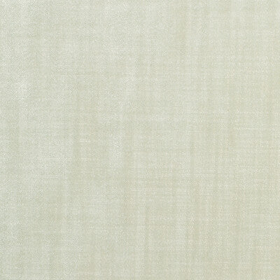 Samples and Purchasing available for Kravet Design - 36096-101 White By Kravet Design |  |Solid Texture Multipurpose Velvet at Designer Wallcoverings and Fabrics