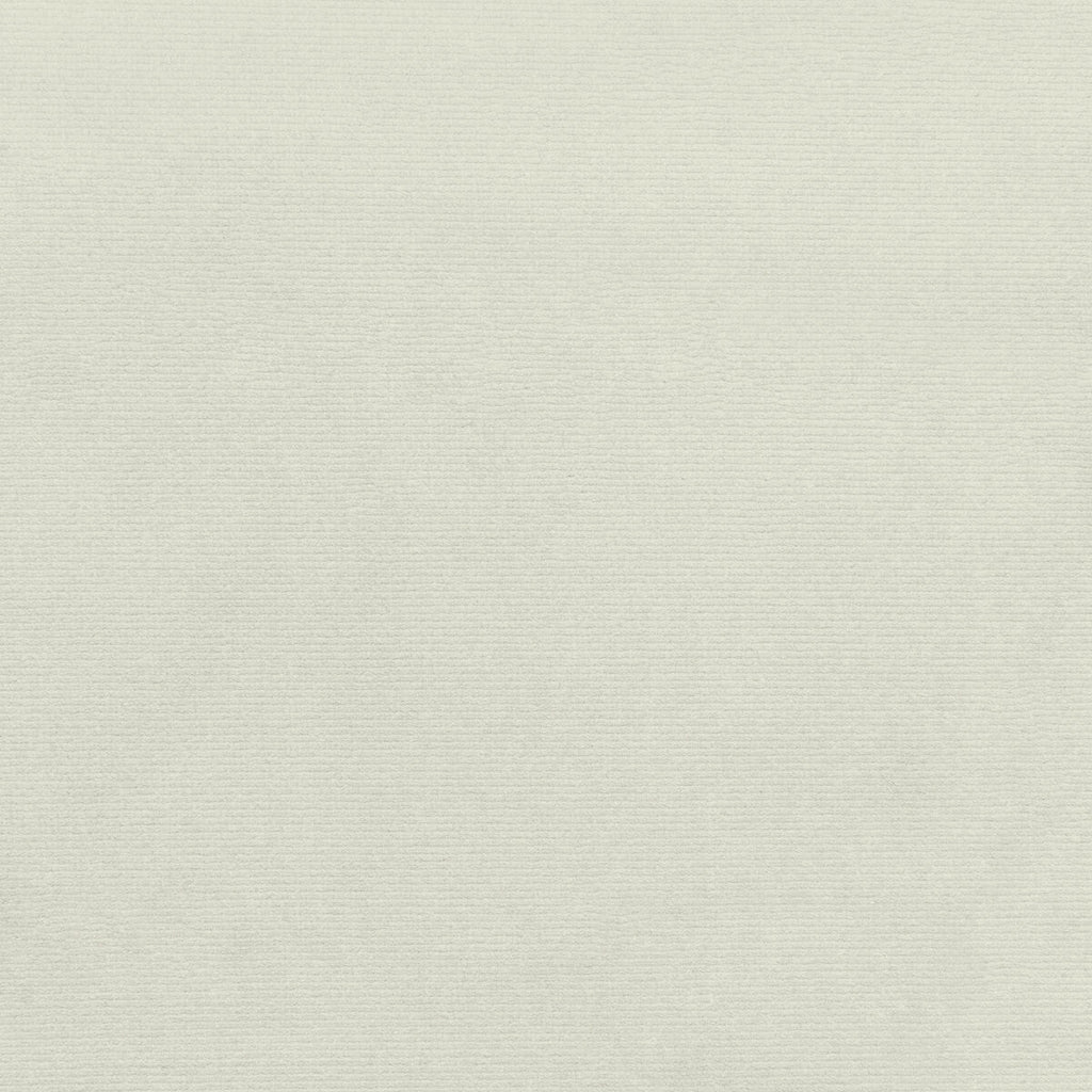 Samples and Purchasing available for Kravet Smart - 36111-101 White By Kravet Smart | Performance Kravetarmor |Solid Texture Upholstery Velvet at Designer Wallcoverings and Fabrics