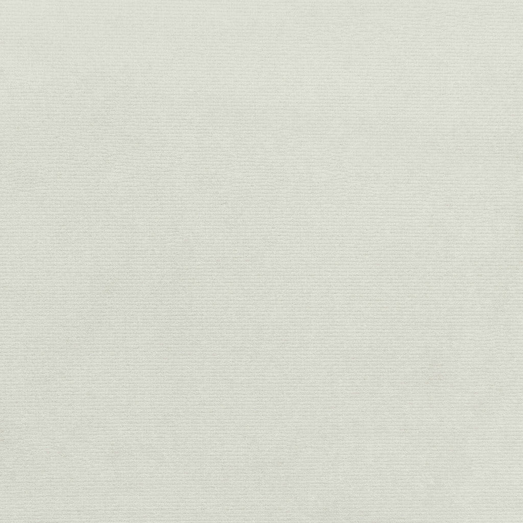 Samples and Purchasing available for Kravet Smart - 36111-1 White By Kravet Smart | Performance Kravetarmor |Solid Texture Upholstery Velvet at Designer Wallcoverings and Fabrics