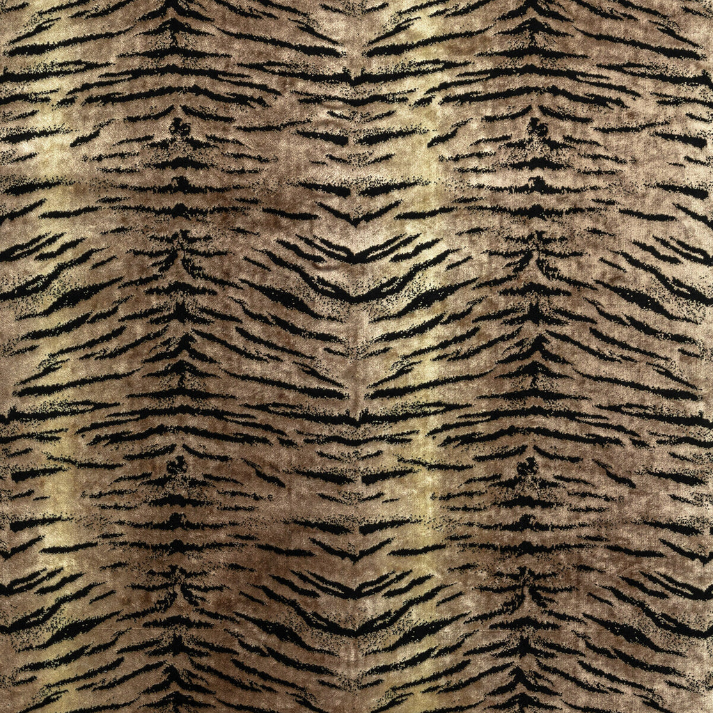 Samples and Purchasing available for Animalier - Anthracite Brown By Kravet Couture | Modern Luxe Iii |Animal Skins  Upholstery Velvet at Designer Wallcoverings and Fabrics