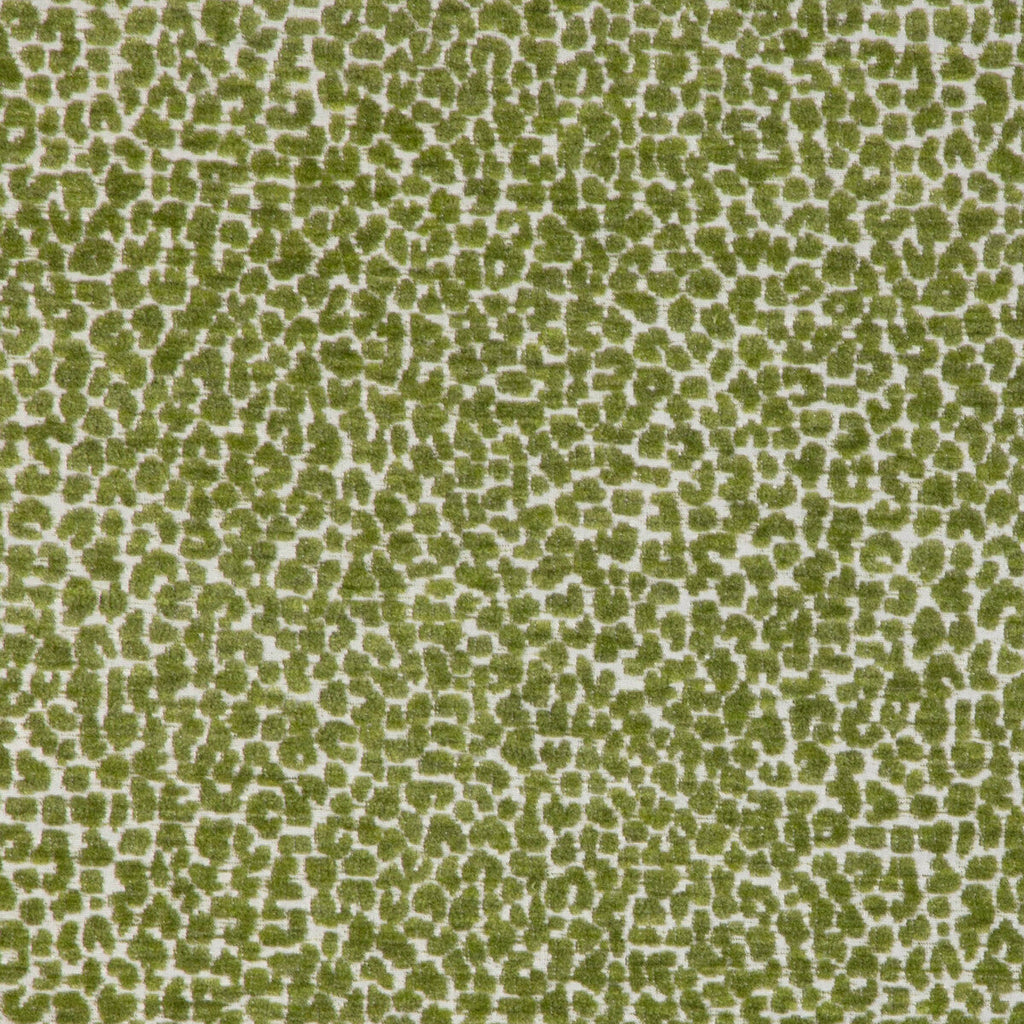 Samples and Purchasing available for Kravet Design - 36777-3 Green By Kravet Design | Sea Island Indoor/Outdoor |Animal Skins Texture Upholstery Indoor / Outdoor at Designer Wallcoverings and Fabrics