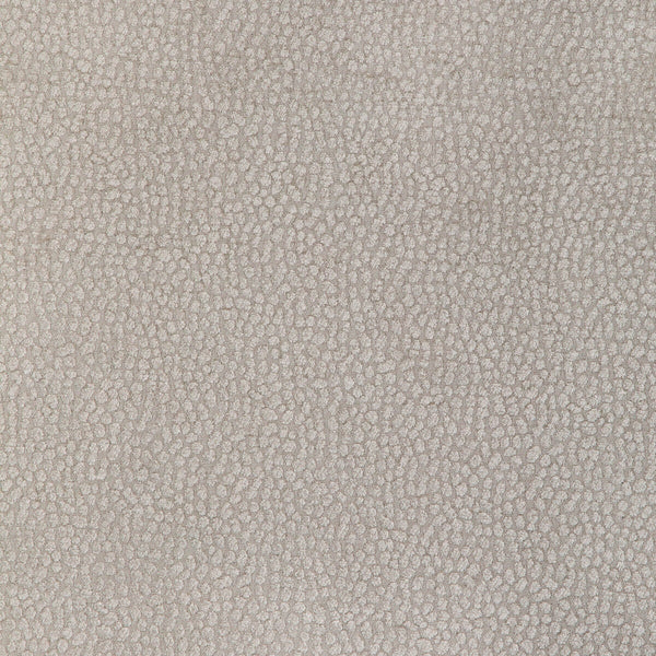 Samples and Purchasing available for Pebble Chenille - Putty Grey By Kravet Design | Candice Olson Collection |Animal Skins Texture Upholstery Chenille at Designer Wallcoverings and Fabrics