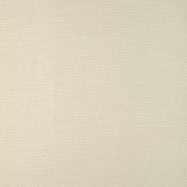 Samples and Purchasing available for Kravet Smart - 36999-1 White By Kravet Smart | Pavilion | Texture Upholstery Indoor / Outdoor at Designer Wallcoverings and Fabrics