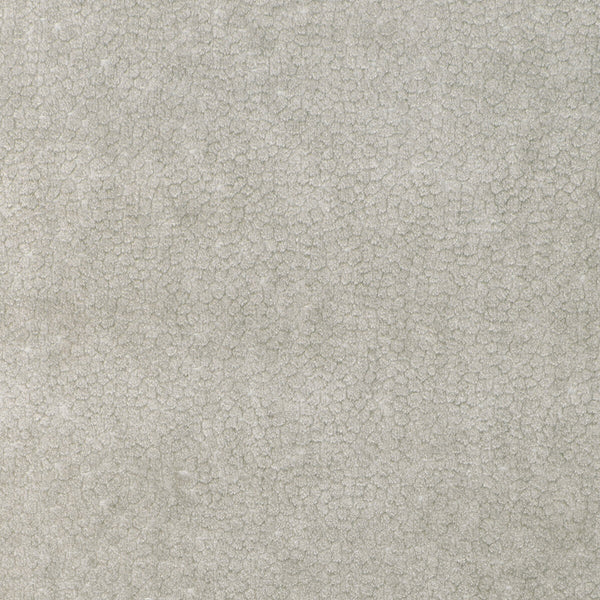 Samples and Purchasing available for Kravet Design - 37064-11 Light Grey By Kravet Design | Modern Velvets | Animal Skins Upholstery Velvet at Designer Wallcoverings and Fabrics