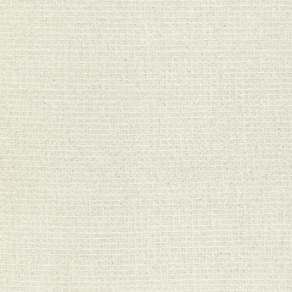 Samples and Purchasing available for Kravet Basics - 1061762 White By Kravet Basics | Gis |Small Scale Texture Drapery Sheer at Designer Wallcoverings and Fabrics