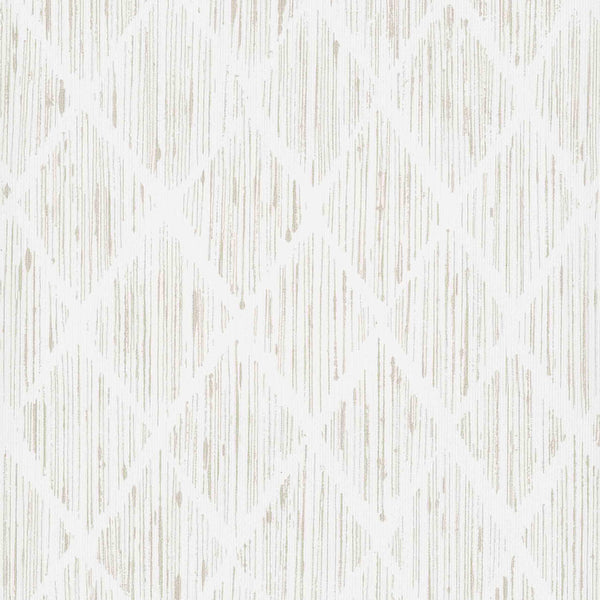 Samples and Purchasing available for Gravel Path - Flax Beige By Kravet Design | Performance Trim Indoor/Outdoor |  Trim Indoor / Outdoor at Designer Wallcoverings and Fabrics