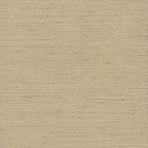 Samples and Purchasing available for Gravel Path - Flax Beige By Kravet Design | Performance Trim Indoor/Outdoor |  Trim Indoor / Outdoor at Designer Wallcoverings and Fabrics