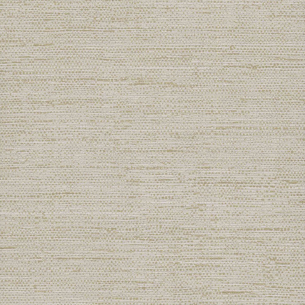 Samples and Purchasing available for Gravel Path - Flax Beige By Kravet Design | Performance Trim Indoor/Outdoor |  Trim Indoor / Outdoor at Designer Wallcoverings and Fabrics