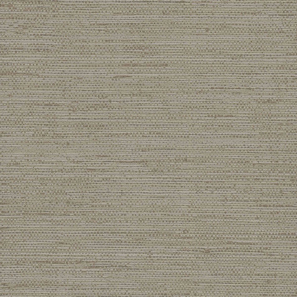 Samples and Purchasing available for Gravel Path - Flax Beige By Kravet Design | Performance Trim Indoor/Outdoor |  Trim Indoor / Outdoor at Designer Wallcoverings and Fabrics