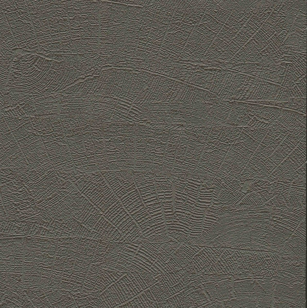 Samples and Purchasing available for Gravel Path - Flax Beige By Kravet Design | Performance Trim Indoor/Outdoor |  Trim Indoor / Outdoor at Designer Wallcoverings and Fabrics