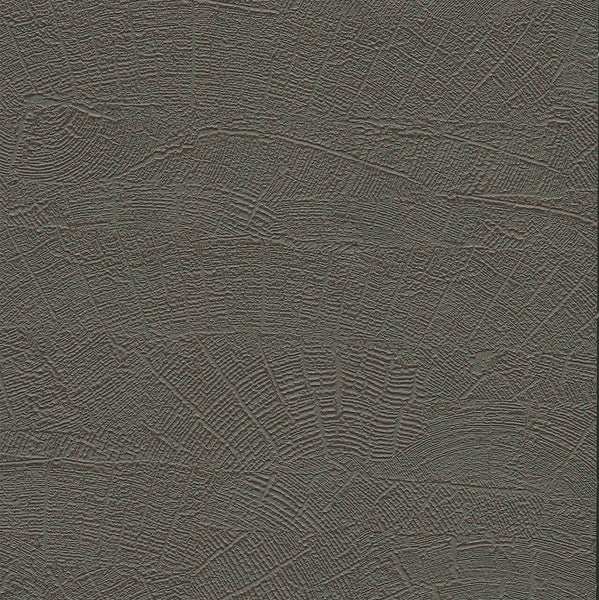 Samples and Purchasing available for Gravel Path - Flax Beige By Kravet Design | Performance Trim Indoor/Outdoor |  Trim Indoor / Outdoor at Designer Wallcoverings and Fabrics